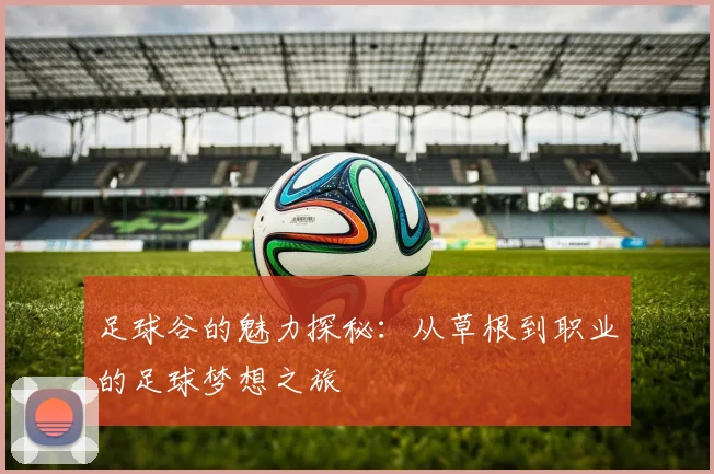 足球谷的魅力探秘：从草根到职业的足球梦想之旅