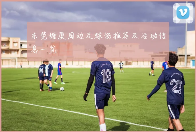 东莞塘厦周边足球场推荐及活动信息一览