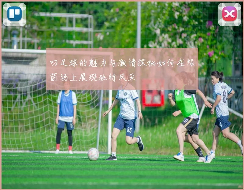 叼足球的魅力与激情探秘如何在绿茵场上展现独特风采