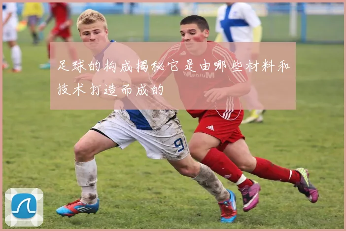 足球的构成揭秘它是由哪些材料和技术打造而成的