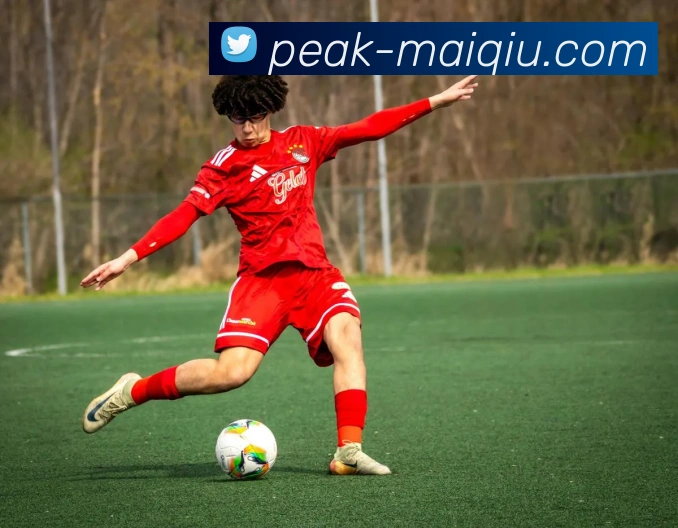 足球大师荣耀之路：从青涩球员到巅峰教练的传奇旅程